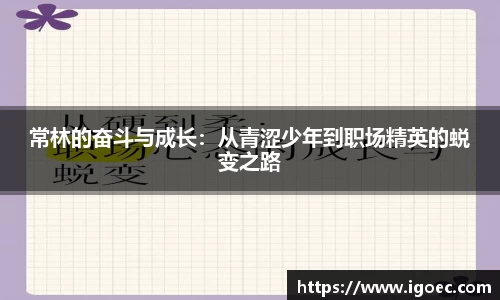 芒果体育官方app下载