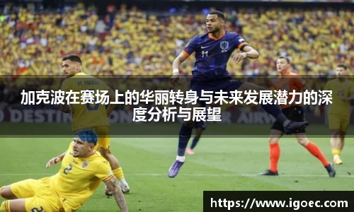 芒果体育登录注册