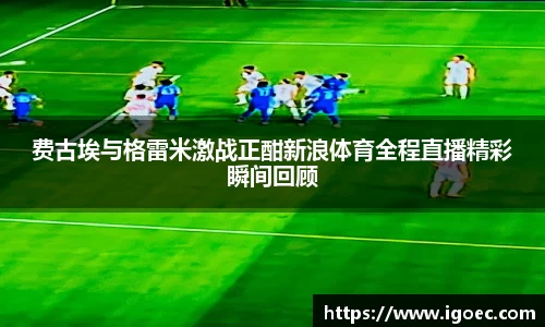 芒果体育官方网站