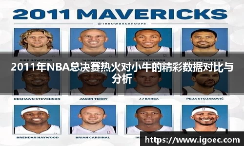 2011年NBA总决赛热火对小牛的精彩数据对比与分析